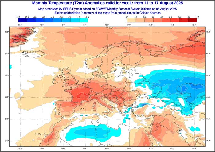 In der zweiten Augustwoche rechnet das ECMWF-Modell mit höheren Temperaturen. 
