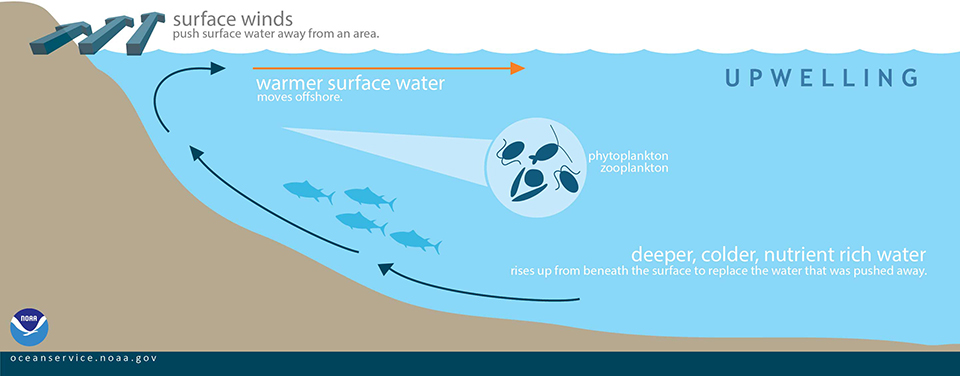 Bildquelle: NOAA