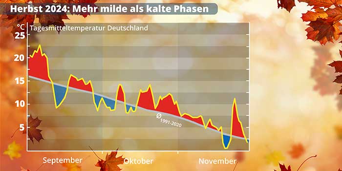 Aud der Grafik ist zu sehen, dass es im Herbst 2024 insgesamt mehr zu warme als zu kalte Phasen gab. 