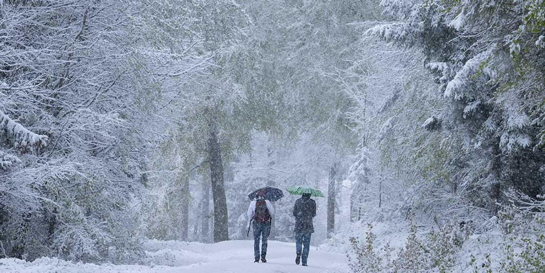 Spaziergänger laufen am Sonntag über einen verschneiten Wanderweg im Taunus. Menschen sollten verschneite Wälder wegen Gefahr durch Schneebruch besser vermeiden. 