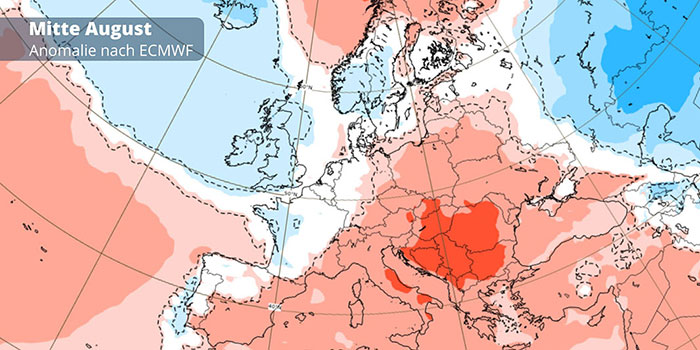 ECMWF