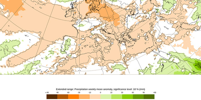 ECMWF Niederschlag