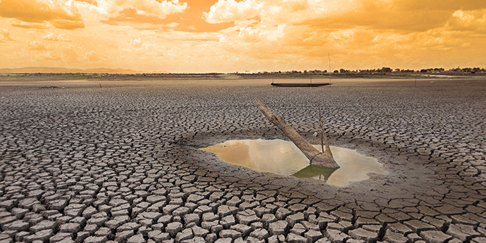 Dürre in Afrika