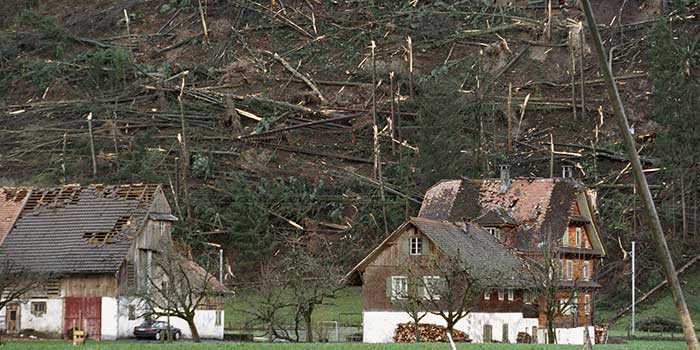 Orkantief Lothar richtete im Jahr 1999 großen Schaden an. Auf dem Archivbild sind umgefallene Bäume in der Schweiz zu sehen. 