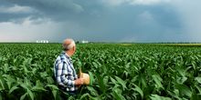 Mäßig-warmer Wochenstart und abziehender Regen