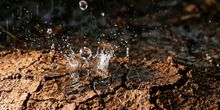 Wann endet die Dürre? So viel Regen ist zu erwarten