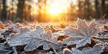 Aufklaren mit Folgen - Örtlich Frost!