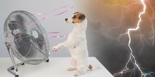 Hitzespitze naht - danach neue Gewitter