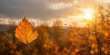 Der Herbst klopft nun bei allen an
