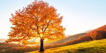 Wetterberuhigung und goldene Oktobertage in Sicht?