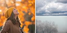 Ein bunter und herbstlicher Mix