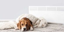 Plötzlich Herbst! Kaltfront bringt Temperatursturz