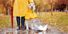 Wetter 16 Tage: So nass endet der Oktober