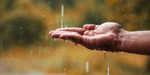 Ein Hauch von Herbst! Hier bringen Wind und Regen Abkühlung