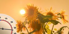 Bis zu 34 Grad! Spätsommerhitze im Anmarsch