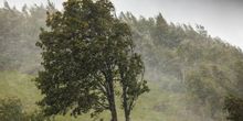 Donnerstag: Gewitterartiger Regen – Örtlich besteht Unwetterpotenzial
