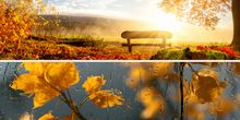 Kontrastprogramm! Vom Herbststurm zu freundlichen 21 Grad