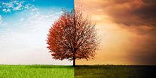 Zwischen Spätsommer & Herbst