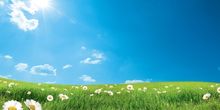 Sonniger Freitag - mit zwei Ausnahmen