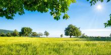 Sonnige Aussichten dank Omega-Wetterlage