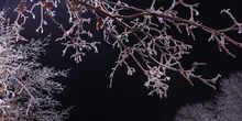 Langsamer Wechsel mit teils frostigen Nächten