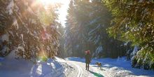 In diesen Regionen scheint am 1. Weihnachtsfeiertag die Sonne