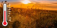 Bis zu 24 Grad - jetzt beginnt der Altweibersommer