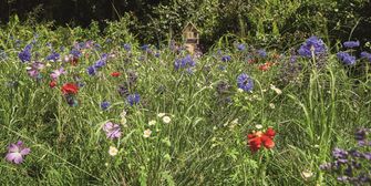 Ihren Garten nachhaltig gestalten Ihren Garten nachhaltig gestalten