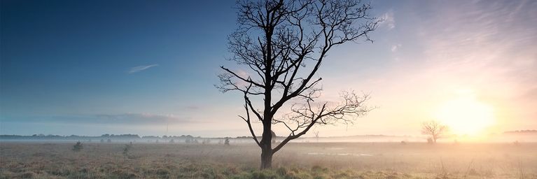 wetter.com Heute regional Nebel - Aber sonst oft strahlend sonnig Heute regional Nebel - Aber sonst oft strahlend sonnig