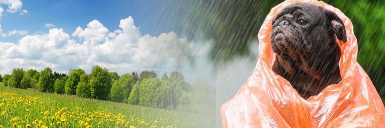 wetter.com Warmfront bringt große Kontraste Warmfront bringt große Kontraste