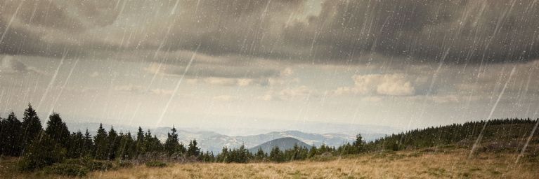 wetter.com Herbstregen und böiger Wind Herbstregen und böiger Wind