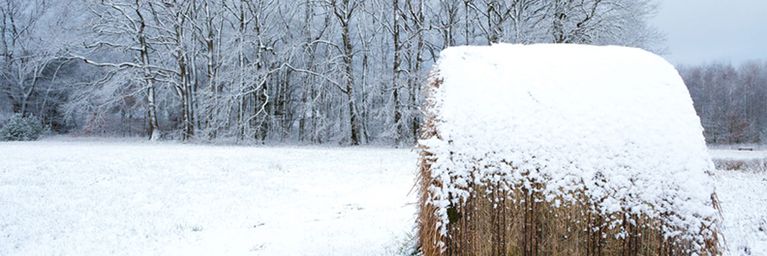 wetter.com Wintereinbruch light Anfang November? Wintereinbruch light Anfang November?
