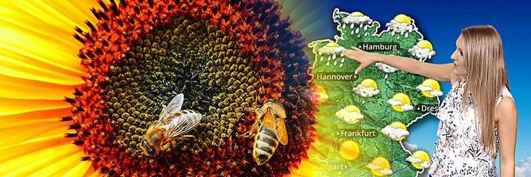 wetter.com Labile Kaltluft vs. Hoch NILÜFER Labile Kaltluft vs. Hoch NILÜFER