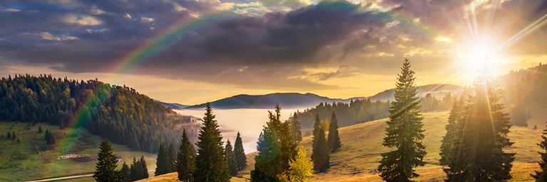 wetter.com Altweibersommer kommt mit 20 Grad Altweibersommer kommt mit 20 Grad