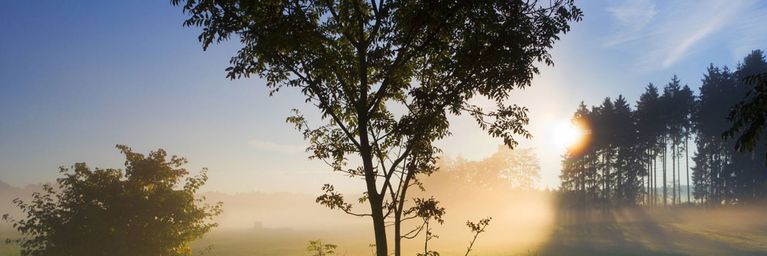 wetter.com Sonnengenuss bleibt bis Freitag Sonnengenuss bleibt bis Freitag