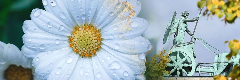 wetter.com Altweibersommer lässt Konstanz vermissen Altweibersommer lässt Konstanz vermissen