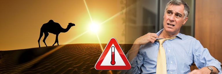 wetter.com Sahara-Hitze lässt Deutschland schwitzen Sahara-Hitze lässt Deutschland schwitzen