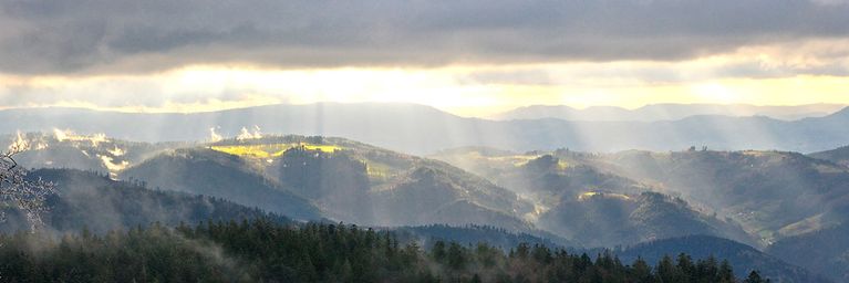 wetter.com Sonne hat es noch schwer Sonne hat es noch schwer