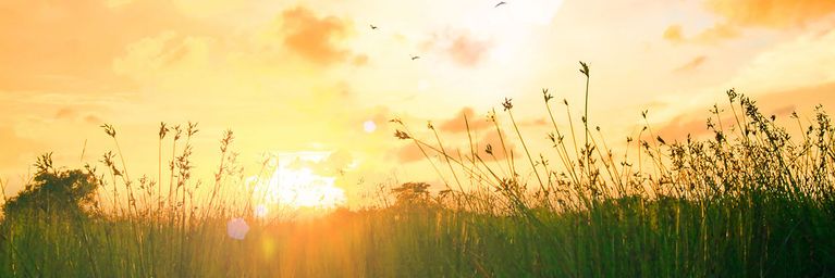 wetter.com Sommer nimmt Fahrt auf Sommer nimmt Fahrt auf