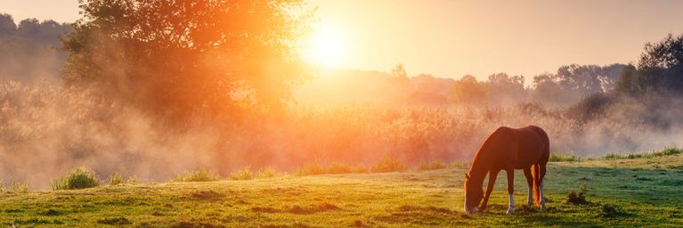 wetter.com Zwischen Sonnenschein und Nebel-Misere Zwischen Sonnenschein und Nebel-Misere