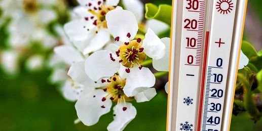 Wieder 20 Grad - Ungewöhnliche Dauerwärme hält an