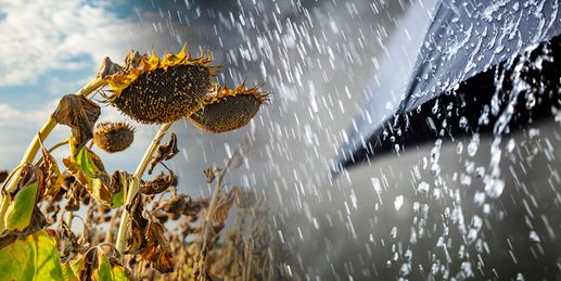 Heute: Regengüsse, im Südwesten weiter Dürre