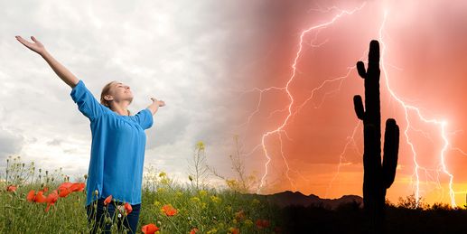 Heute: Von Sommerfrische bis Gewitterhitze