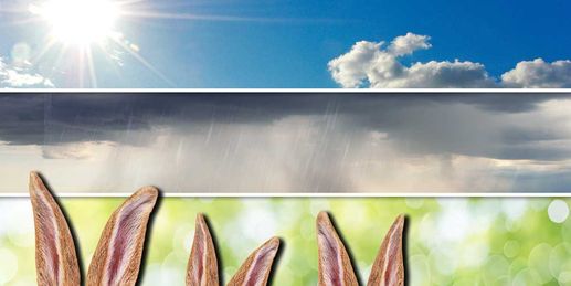 Osterwetter-Fahrplan - so wird das Wetter über die Feiertage