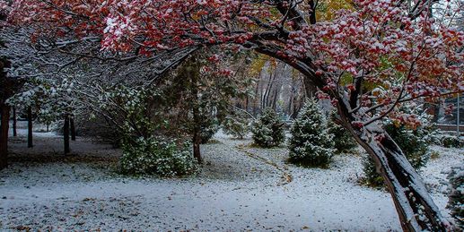 Plötzlich Winter! So weit schneit es herunter