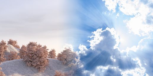 Heute nach Morgenfrost oft trist - Hier sind die Lichtblicke