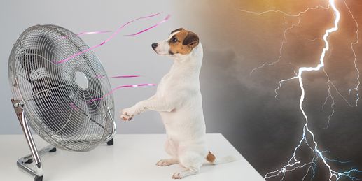 Hitzespitze naht - danach neue Gewitter