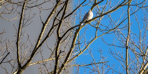 Grauer Novembertag - außer in diesen Bundesländern