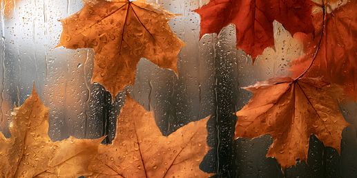 Heute: Nächstes Regengebiet weht ins Land