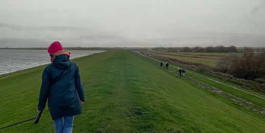 Milde Nordseeluft trifft frostigen Südosten